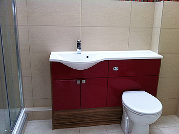 The integrated vanity unit with WC